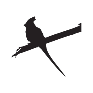Bird On Branch SVG Cut & Clipart File, Bird Sitting On Brach Silhouette Bird SVG