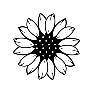Sunflower Outline SVG Image, PNG Clipart Sunflower SVG