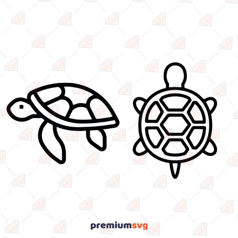 2 Turtles SVG Files, Turtles Vector Instant Download Sea Life and Creatures SVG Svg