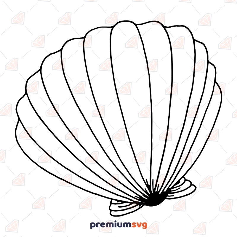 Seashell SVG Clipart Files, Seashell Vector Instant Download Sea Life and Creatures SVG Svg