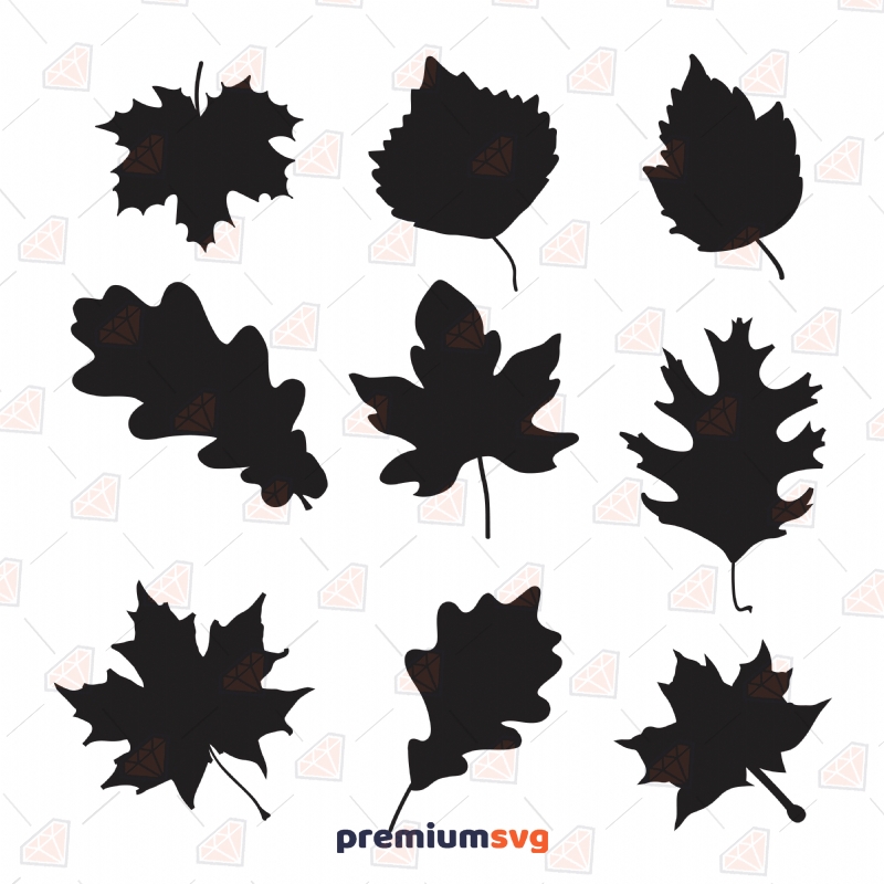 Basic Fall Leaves SVG Cut Files, Leaves Bundle Clipart SVG Plant and Flowers SVG Svg