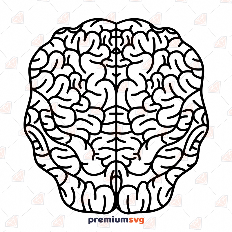 Brain Clipart SVG, Brain Outline SVG Instant Download Vector Illustration Svg