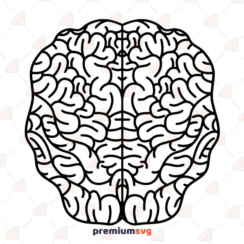 Brain Outline Png