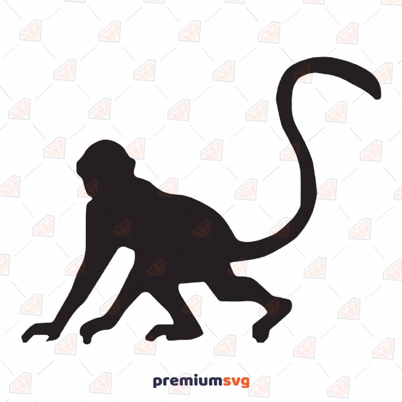 Monkey SVG Cut File, Monkey for Cricut and Silhouette Wild & Jungle Animals SVG Svg