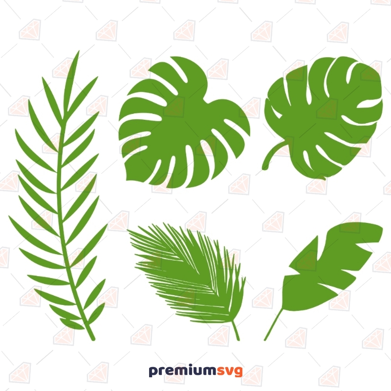 Tropical Leaves Svg Vector Files, Leaves Clipart File Plant and Flowers Svg
