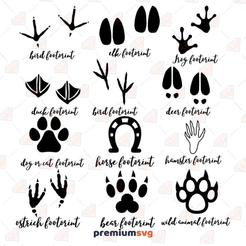 Animal Tracks Bundle SVG, Animal Footprints Clipart Cut Files Wild & Jungle Animals SVG Svg