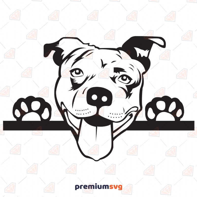 American Pit bull SVG Cut File, Pitbull SVG Instant Download Drawings Svg