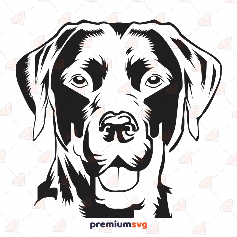 Black Labrador Svg Cut File Labrador Vector Instant Download Premiumsvg