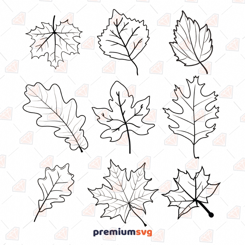Fall Leaves Outline SVG, Fall Leaves Bundle SVG Instant Download Flower SVG Svg