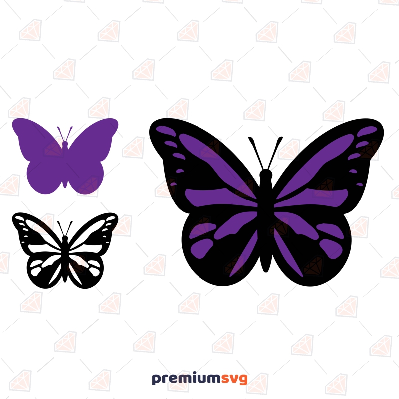 Monarch Butterfly SVG for Cricut & Silhouette Insects/Reptiles SVG Svg