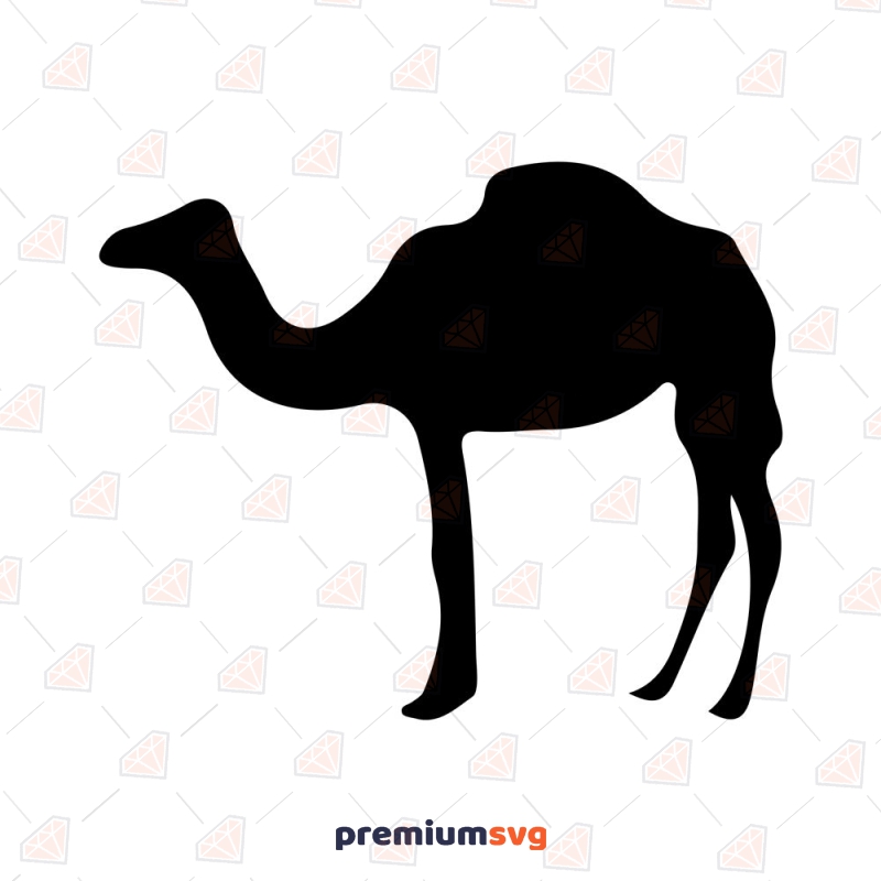 Camel SVG Cut File for Cricut &  Silhouette Wild & Jungle Animals SVG Svg