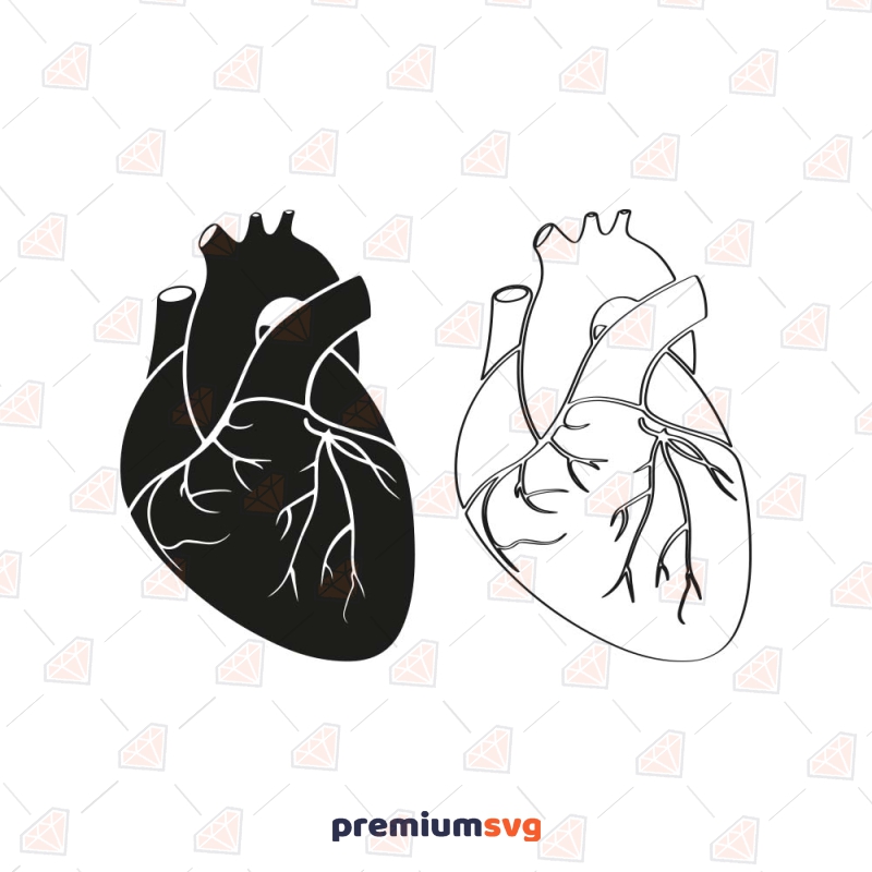 Black and White Realistic Heart SVG, Realistic Heart Clipart Health and Medical Svg