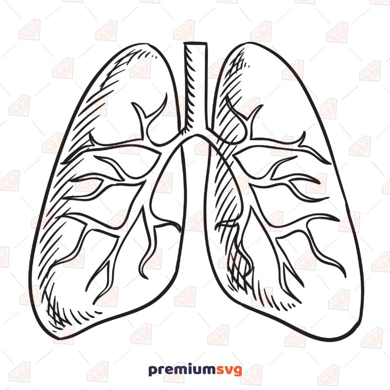 Lung SVG, Lung Vector Instant Download Health and Medical Svg