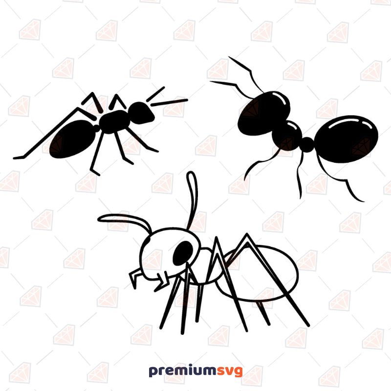 Ant SVG Bundle Insects/Reptiles Svg