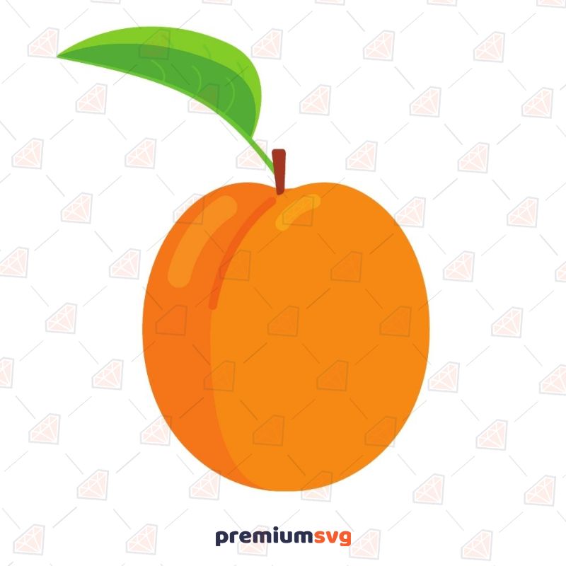 Apricot Fruits and Vegetables SVG Svg