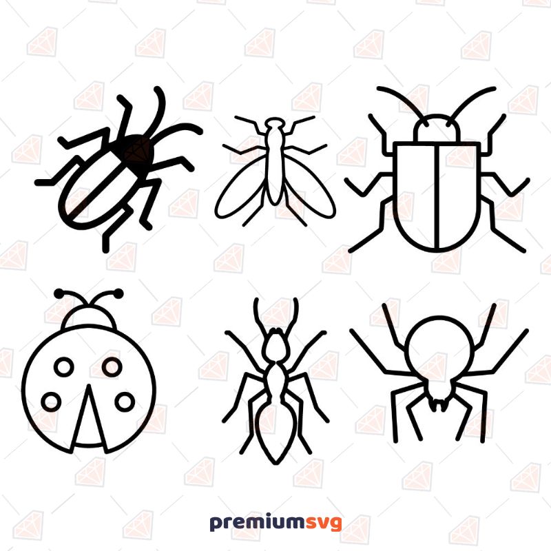 Basic Insect SVG Bundle Insects/Reptiles Svg