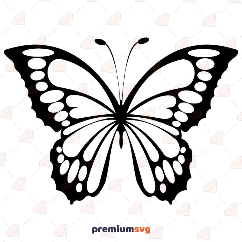 Free Free 220 Cricut Half Butterfly Half Flower Svg SVG PNG EPS DXF File