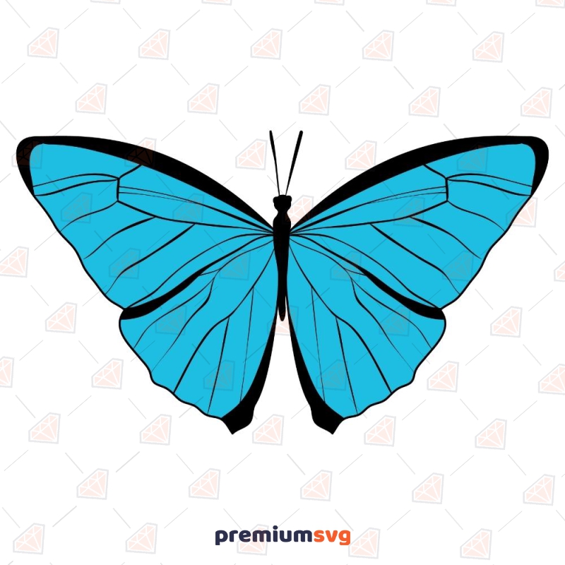 Blue Butterfly SVG Design Insects/Reptiles SVG Svg