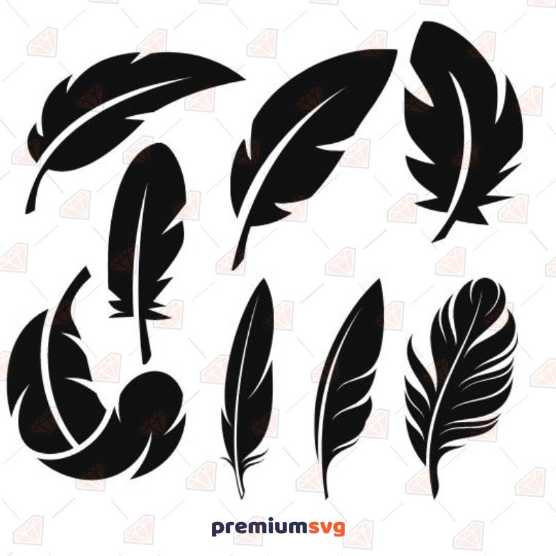 Feathers SVG Bundle, Feathers Vector Files Bird SVG Svg