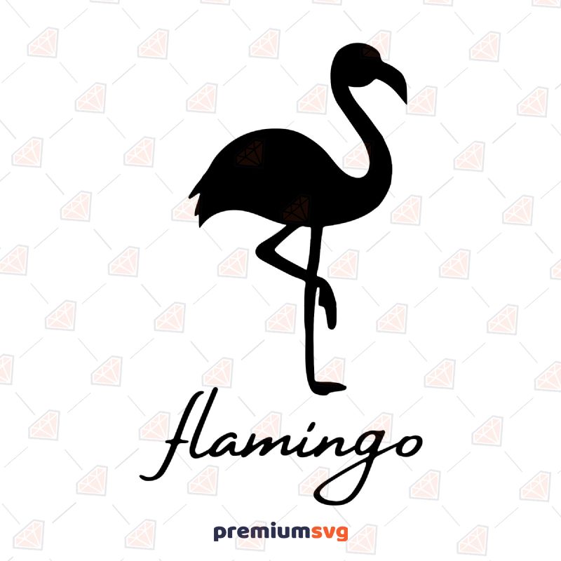 Flamingo SVG Design Bird SVG Svg
