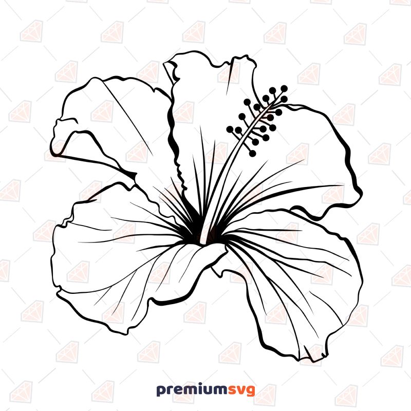Hand Drawing Hibiscus SVG, Instant Download Plant and Flowers SVG Svg