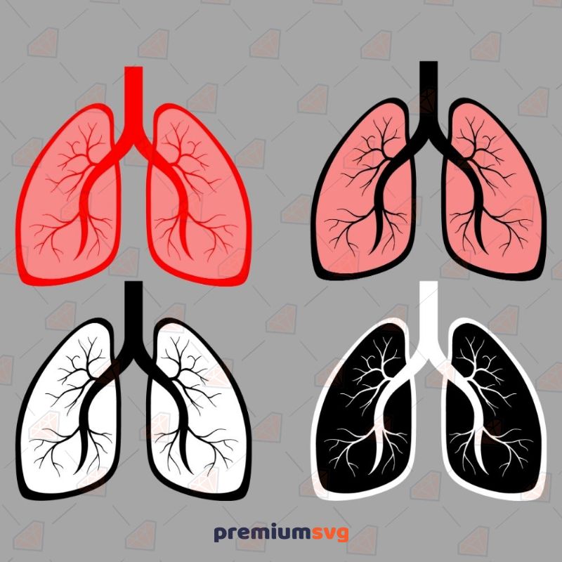 Lungs Bundle SVG, Lungs Vector Files Health and Medical Svg