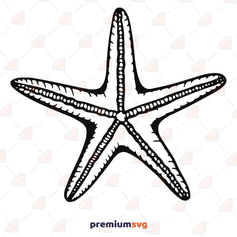 Marine Starfish SVG, Starfish Vector Instant Download Sea Life and Creatures SVG Svg