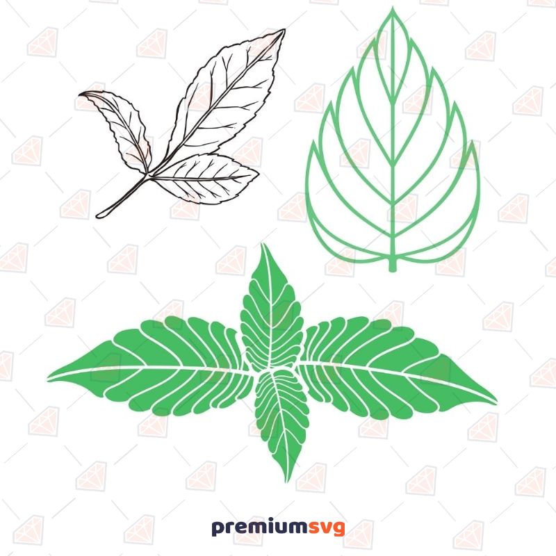 Mint Leaves SVG Plant and Flowers Svg