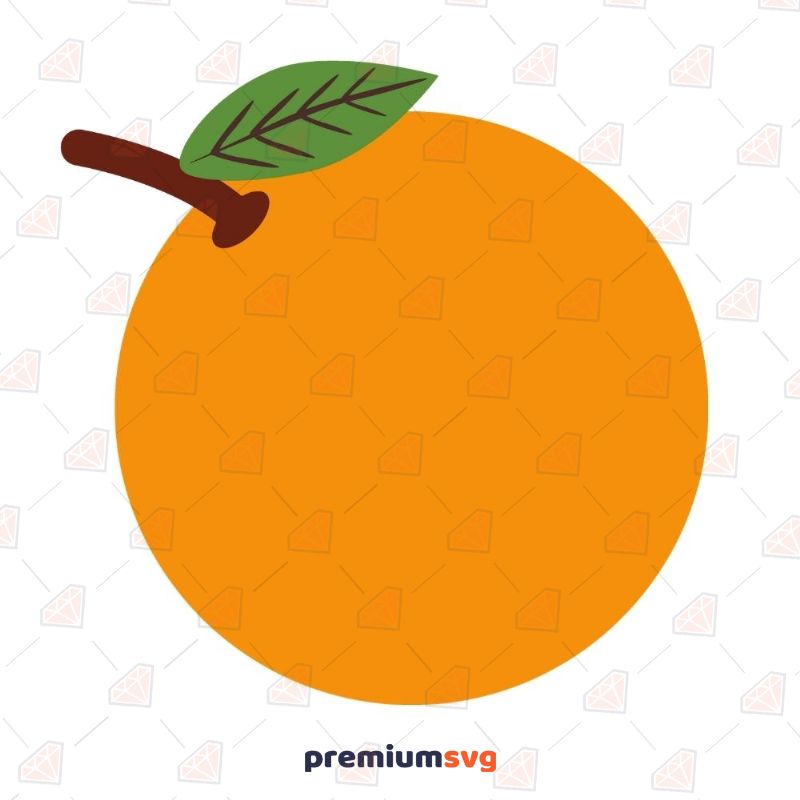 Orange Fruits and Vegetables SVG Svg
