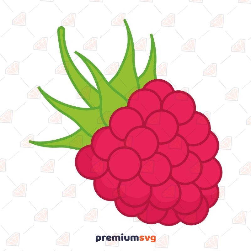 Raspberry Icon, Raspberry SVG Instant Download Fruits and Vegetables SVG Svg