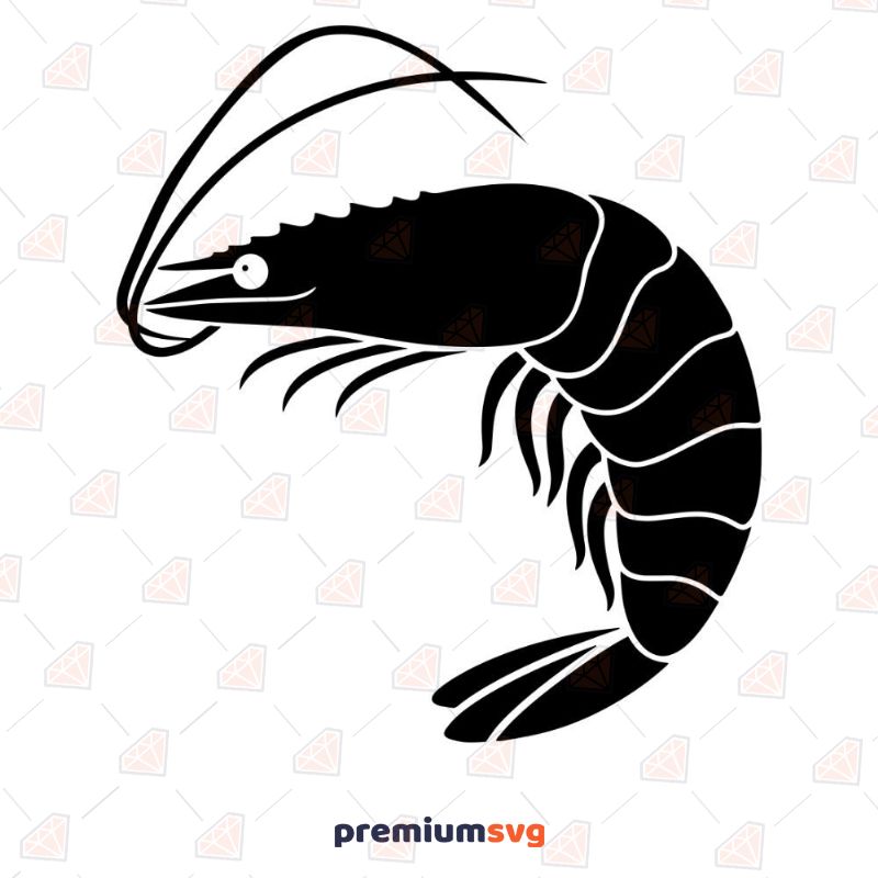 Shrimp SVG, Shrimp Vector Instant Download Sea Life and Creatures SVG Svg