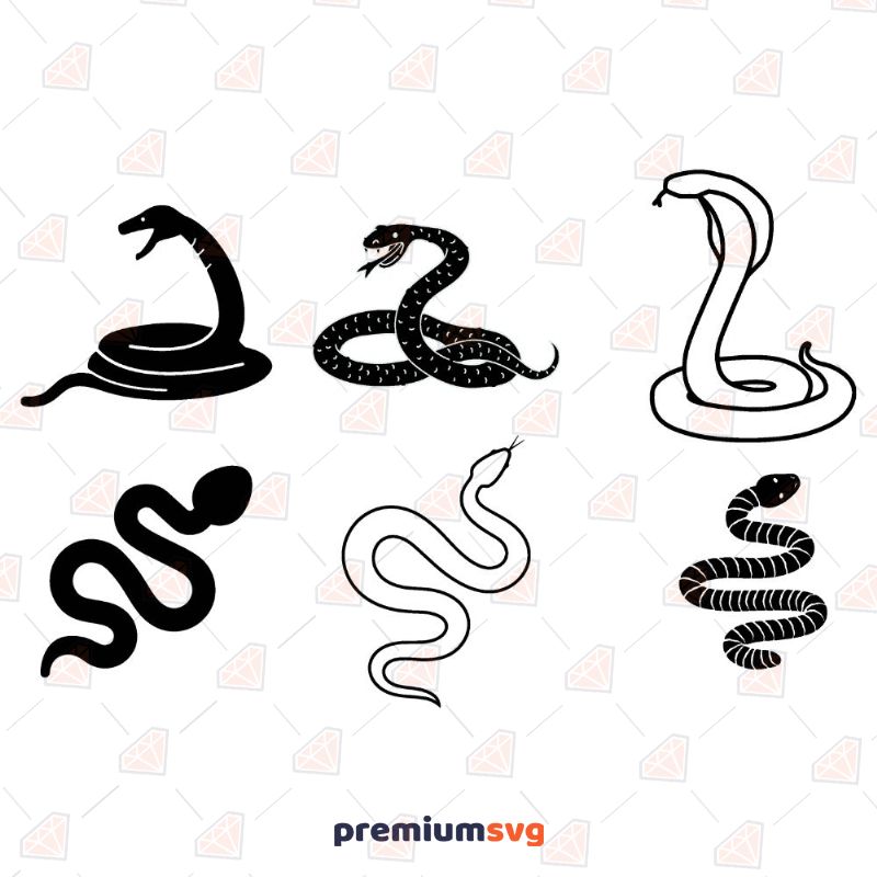 Snakes SVG Cut & Clipart Files Insects/Reptiles Svg