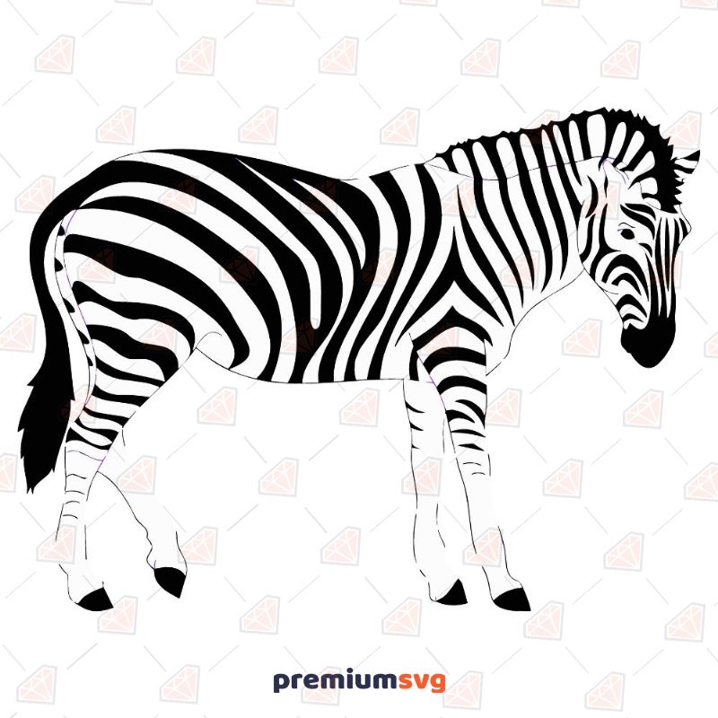 Zebra SVG, Zebra Vector Instant Download Wild & Jungle Animals SVG Svg