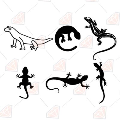 Lizard Bundle Insects/Reptiles