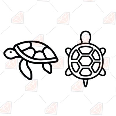 2 Turtles SVG Files Sea Life and Creatures SVG