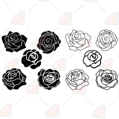 Roses Bundle SVG, Roses Outline Clipart Cut Files Plant and Flowers SVG