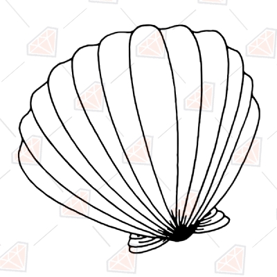 Seashell SVG Clipart Files, Seashell Vector Instant Download Sea Life and Creatures SVG