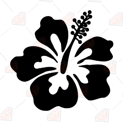 Free Free 280 Hibiscus Flower Outline Svg SVG PNG EPS DXF File