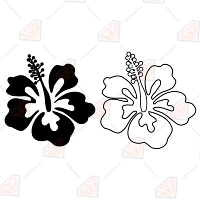 2 Hibiscus Svg Files, Hibiscus Outline Clipart Vector Illustration
