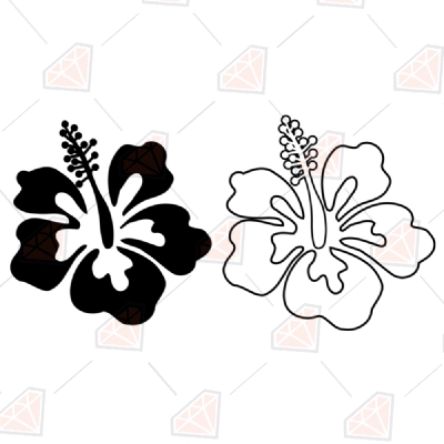 Download 2 Hibiscus Svg Files Hibiscus Outline Clipart Premium Svg