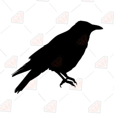 Black Crow SVG File, Crow Vector File Instant Download Bird SVG