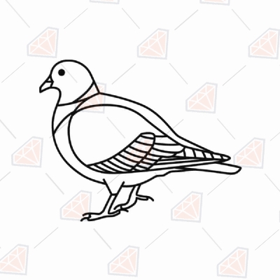Pigeon SVG, Line Drawing Pigeon SVG Bird SVG