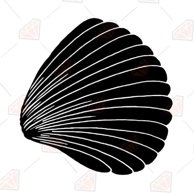 Ocean Floor Shell SVG, Shell Clipart Cut Files Drawings