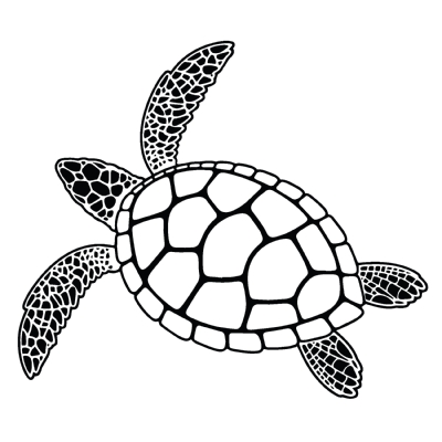 Turtle SVG Vector File, Sea Turtle SVG Instant Download Sea Life and Creatures SVG