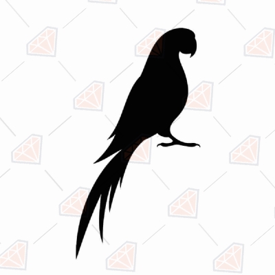 Parrot Silhouette SVG Cut, Parrot Vector File Instant Download Bird SVG