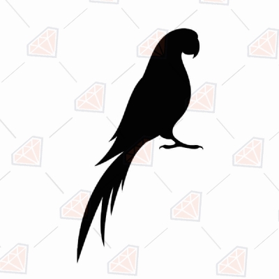 Download Parrot Silhouette Svg Png And Jpg Cut File Premium Svg