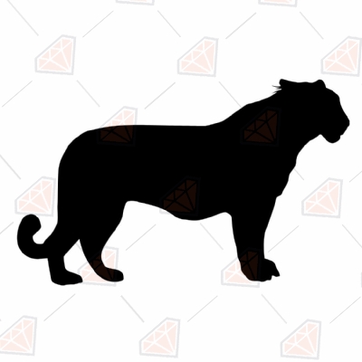 Tiger SVG Cut files, Tiger Clip Art Silhouette and Cricut Wild & Jungle Animals SVG