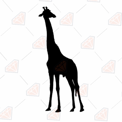 Giraffe SVG Cut File | Giraffe Clipart Wild & Jungle Animals SVG