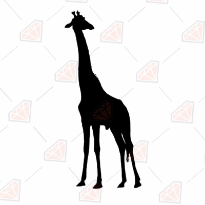 Download Jungle And Wildlife Svg Cut File Premium Svg