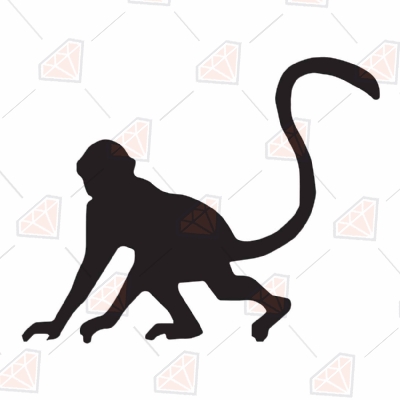 Monkey Svg Cut File for Cricut and Silhouette Wild & Jungle Animals SVG